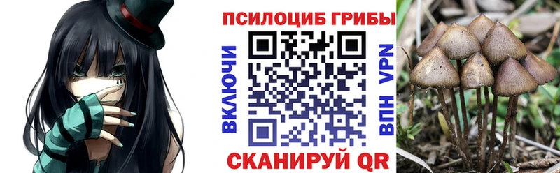 Купить где  Судогда  Галлюциногенные грибы GOLDEN TEACHER 