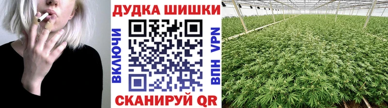 Марихуана план  Купить  Судогда 